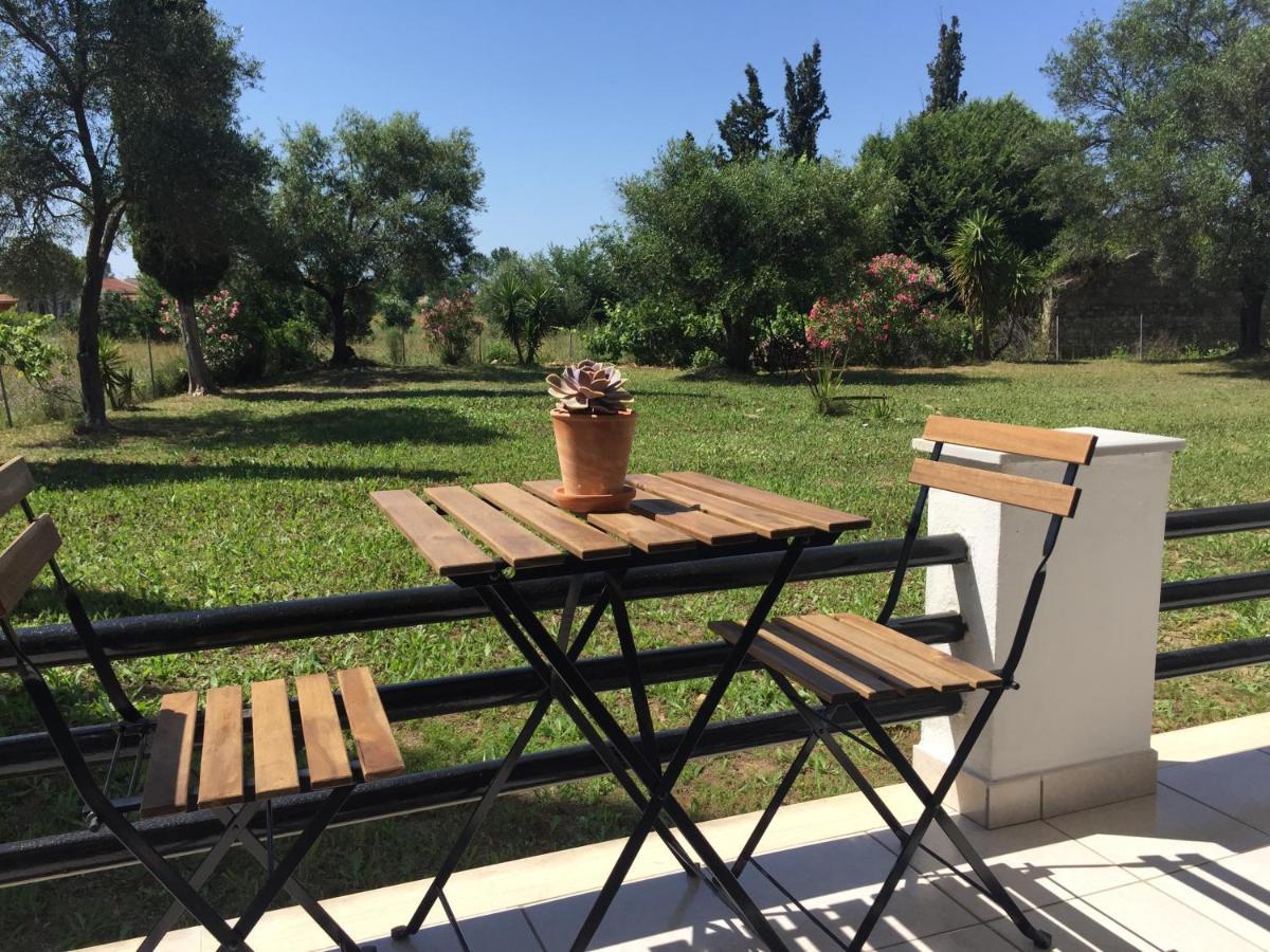 Alexander * Roda (Corfu)