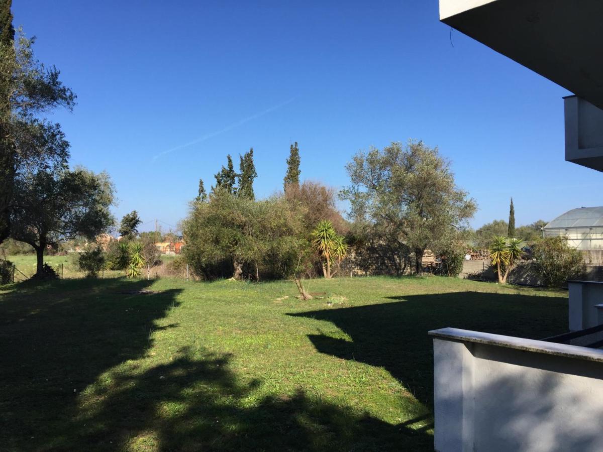Apartament Alexander *