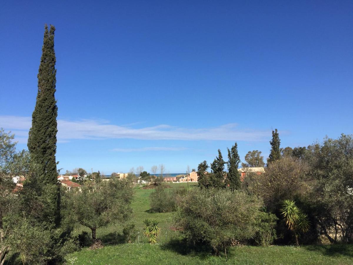Apartament Alexander