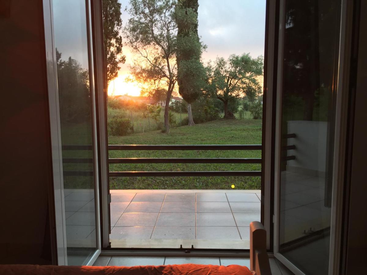 Apartament Alexander