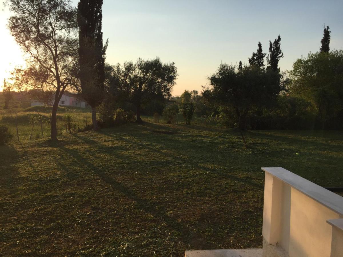 Apartament Alexander